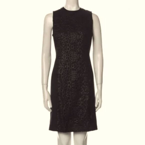 Black Lace Sleeveless Dress - Picture 1 of 10